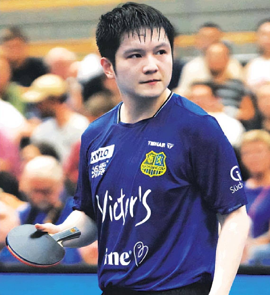 法国乒乓球队血洗德国乒乓球队,樊振东制霸全场的简单介绍 法国乒乓球队血洗德国乒乓球队,樊振东制霸全场的简单介绍