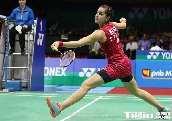 日本羽毛球队血洗法国羽毛球队，马琳惊艳世界的简单介绍